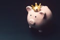 Pink piggy bank with hightlight shining through golden crown in