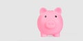 Pink piggy bank isolated on grey with clipping path Royalty Free Stock Photo