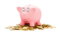 Pink piggy Bank isolated on a white background. Royalty Free Stock Photo