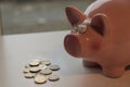 Pink piggy bank with money on a table Royalty Free Stock Photo