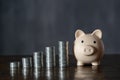 Pink piggy bank and money towers on dark background, closeup, copy space. Finance, business, investment and money saving concept Royalty Free Stock Photo