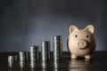 Pink piggy bank and money towers on dark background, closeup, copy space. Finance, business, investment and money saving concept Royalty Free Stock Photo