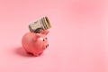 Pink piggy bank with one dollar on a pink background