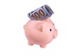 Pink piggy bank with the one hundred dollar bill isolated on white background Royalty Free Stock Photo