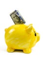 Pink piggy bank with one hundred US dollar bills isolated on a white background Royalty Free Stock Photo