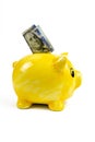 Pink piggy bank with one hundred US dollar bills isolated on a white background Royalty Free Stock Photo