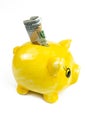 Pink piggy bank with one hundred US dollar bills isolated on a white background Royalty Free Stock Photo