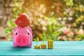 pink piggy bank over coins stack, saving money Royalty Free Stock Photo