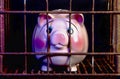 Pink Piggy Bank Punishment.