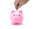 Pink piggy bank for save coin realistic photo image on white background. Front view of Pig doll for saving money isolate with clip Royalty Free Stock Photo