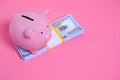 Pink Piggy Bank and a Stack of Hundred Dollar Bills on a Pink Background Royalty Free Stock Photo