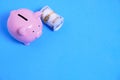 Pink Piggy Bank and a Stack of Hundred Dollar Bills on a Blue Background Royalty Free Stock Photo