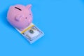 Pink Piggy Bank and a Stack of Hundred Dollar Bills on a Blue Background Royalty Free Stock Photo