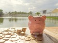 Pink piggy bank standing on wooden with gold coins pile and water background, Saving money for future plan and retirement fund Royalty Free Stock Photo