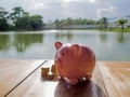 Pink piggy bank standing on wooden with gold coins pile and water background, Saving money for future plan and retirement fund Royalty Free Stock Photo