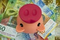 Pink piggy bank with swiss money currency of switzerland. Swiss francs. Money in Switzerland Royalty Free Stock Photo