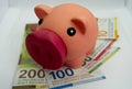 Pink piggy bank with swiss money and currency of switzerland. Swiss francs. Money in Switzerland Royalty Free Stock Photo