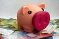 Pink piggy bank with swiss money and currency of switzerland. Swiss francs. Money in Switzerland Royalty Free Stock Photo