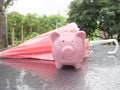 Pink Piggy bank with umbrella On a rainy day Saving money for any storm problem will come concept for finance, insurance Royalty Free Stock Photo