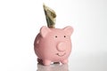 Pink piggy bank with US dollar bills on a white background Royalty Free Stock Photo