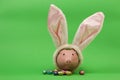 Pink piggy bank with white rabbits ears and chocolate easter eggs on green background