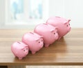 Pink piggy banks increasing in size. Growing investment concept