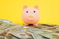 Pink piggy money box on dollar and euro banknotes on yellow background. Money saving concept
