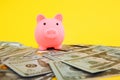 Pink piggy money box in pile of dollar banknotes on yellowbackground, finance Savings, save money for future investments