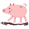 Pink piggy walking on a brown mud puddle