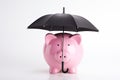 Pink Piggybank Or Savings Bank Under Umbrella To Illustrate Protecting Or Sheltering Investments On White Background