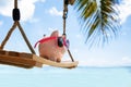 Pink Piggybank With Sunglasses On Wooden Swing