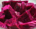 Pink Pitaya fruit cut into slices