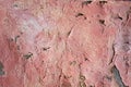 Pink plaster wall texture Royalty Free Stock Photo