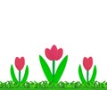 pink plasticine tulip on grass field on white