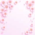 Pink plum blossom background