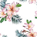 Pink plumeria flowers and exotic palm leaves on white background. Seamless tropical pattern. Watercolor painting. Royalty Free Stock Photo