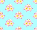 Pink Plumeria, Frangipani Seamless on Light Blue Background. Vector Illustration.