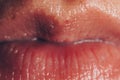 Pink plump natural female lips sparkle close-up. without makeup. facial and lip care