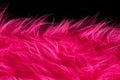 Pink plush fabric on black background horizontal