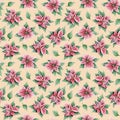 Pink poinsettia Christmas flowers and green leaves watercolor floral seamless pattern on peach beige background Royalty Free Stock Photo