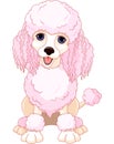 Pink poodle