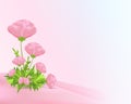 Pink poppies, cdr vector Royalty Free Stock Photo