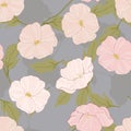 Pink Poppy Elegant Vector Seamless Pattern.