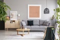 Pink poster above grey sofa in living room interior with wooden table near cupboard. Real photo Royalty Free Stock Photo