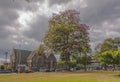 A pink poui tree in partial bloom in front of the All Saints` Anglican Church Royalty Free Stock Photo