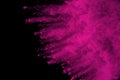 Pink powder explosion on black background. Colored cloud. Colorful dust explode. Paint Holi.