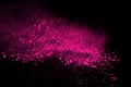 Pink powder explosion isolate on white background. Paint Holi. Royalty Free Stock Photo