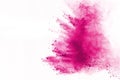 Pink powder explosion isolate on white background. Paint Holi. Royalty Free Stock Photo