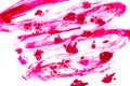 Pink powder explosion on white background. Halloween background.