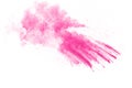 Pink powder explosion on white background. Pink dust splash cloud. Launched colorful particles Royalty Free Stock Photo